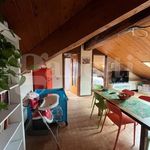 Rent 3 bedroom apartment of 80 m² in Biella