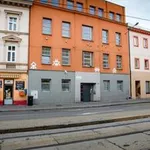 Rent 1 bedroom apartment of 24 m² in Brno