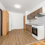 Pronajměte si 2 ložnic/e byt o rozloze 55 m² v Capital City of Prague