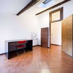 Rent 4 bedroom apartment of 90 m² in Modena