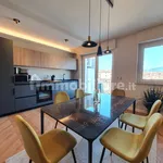 Rent 3 bedroom house of 90 m² in Turin