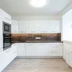 Rent 3 bedroom apartment of 63 m² in Prague