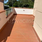 Rent 2 bedroom apartment of 65 m² in Livorno