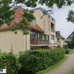 Rent 2 bedroom apartment of 49 m² in Dresden