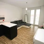 Rent 2 bedroom apartment in Capital City of Prague