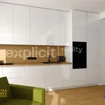 Rent 3 bedroom apartment of 75 m² in Zlín