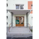 Rent 2 bedroom apartment in Neratovice