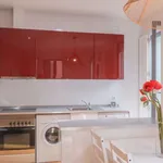 Rent 1 bedroom apartment in madrid