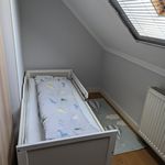 Miete 5 Schlafzimmer wohnung von 144 m² in Bersenbrück