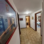 Rent 2 bedroom apartment of 65 m² in Viareggio