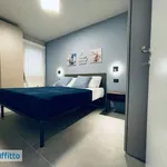 Bilocale arredato con terrazzo Sottomarina