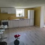 Rent 2 bedroom apartment of 43 m² in Porsgrunn