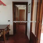 Rent 2 bedroom house of 40 m² in Marsala