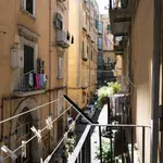 Rent 2 bedroom apartment of 60 m² in Naples