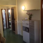 Rent 4 bedroom apartment of 110 m² in Porto Cesareo