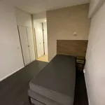 Rent 1 bedroom apartment in brussels