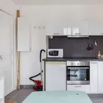 Rent 1 bedroom apartment of 27 m² in paris