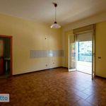 Rent 2 bedroom apartment of 65 m² in Palermo