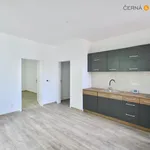 Rent 1 bedroom apartment of 40 m² in Ústí nad Labem