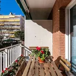 Alquilar 4 dormitorio apartamento en barcelona