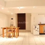 Rent 1 bedroom apartment of 55 m² in Segrate