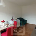 Rent 2 bedroom apartment in České Budějovice