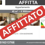 Rent 2 bedroom apartment of 45 m² in Milano