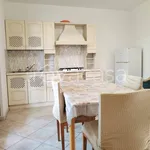 Rent 3 bedroom apartment of 88 m² in Monterotondo