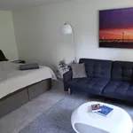 Rent 1 bedroom apartment of 44 m² in Düsseldorf