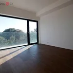 Rent 2 bedroom apartment of 62 m² in Trhový Štěpánov