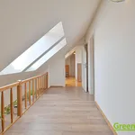 Rent 1 bedroom apartment of 202 m² in Prague