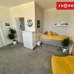 Rent 1 bedroom house in Zlín