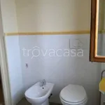 Rent 1 bedroom apartment of 30 m² in Montopoli in Val d'Arno