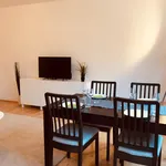 Rent 1 bedroom apartment in Graz