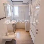 Rent 1 bedroom apartment of 103 m² in Zagreb