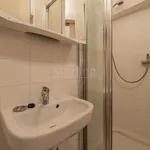 Rent 1 bedroom apartment in Prague