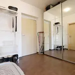 Rent 1 bedroom house in Brno