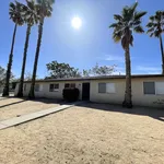 Rent 2 bedroom apartment of 88 m² in Palm Springs 