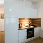 Rent 1 bedroom apartment of 24 m² in Lyon