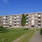 Rent 4 bedroom apartment of 79 m² in Dortmund