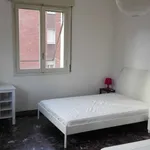 Rent a room in bologna