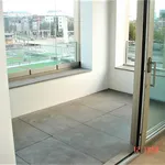 Rent 1 bedroom apartment in Antwerpen