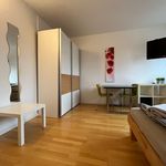 Rent 2 bedroom apartment of 50 m² in Karlsruhe