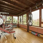 Penthouse via Salvo D'Acquisto, Milano 3, Basiglio