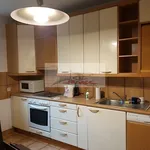 Rent 12 bedroom house of 400 m² in Warsaw