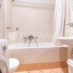 Rent 1 bedroom apartment of 50 m² in Zagreb