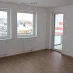 Rent 1 bedroom apartment of 36 m² in České Budějovice