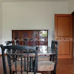 Rent 1 bedroom apartment of 65 m² in Rome