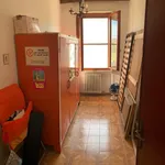 Rent 2 bedroom apartment of 120 m² in Pisa