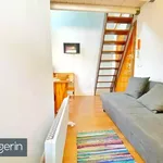 Rent 1 bedroom apartment in Madrid